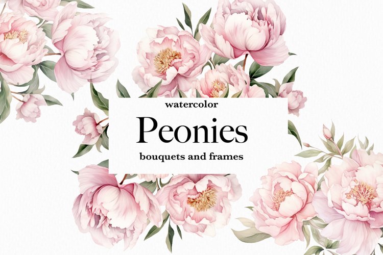 Peony Clipart Image 11