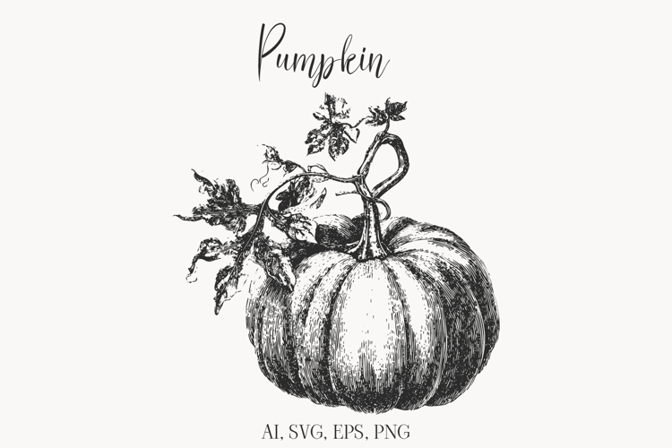 Vintage Pumpkin Illustration, Hand Drawn Fall Clipart