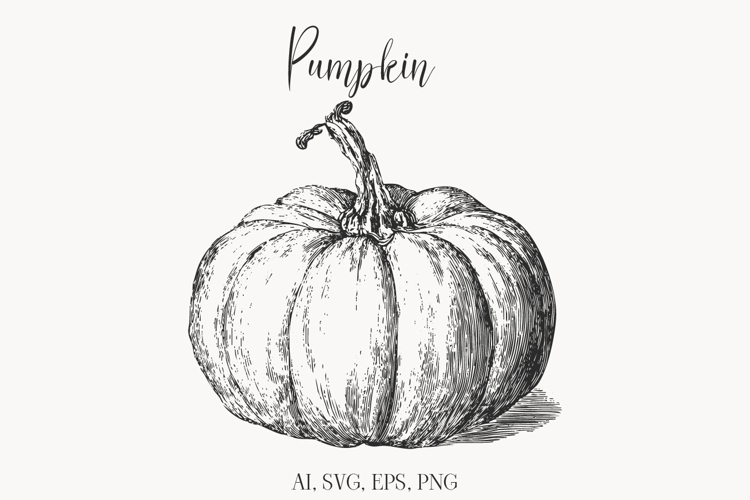 Vintage Pumpkin Illustration, Hand Drawn Fall Clipart