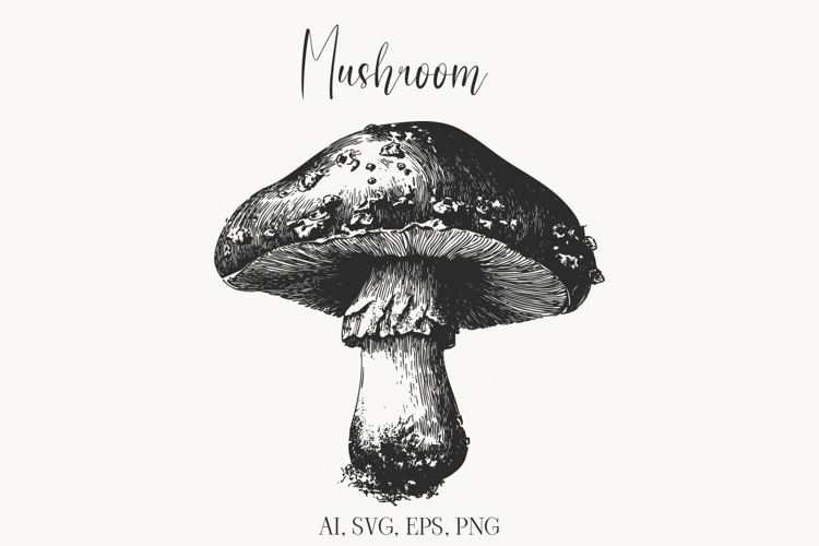 Vintage Mushroom Illustration Clipart | Botanical Fungi