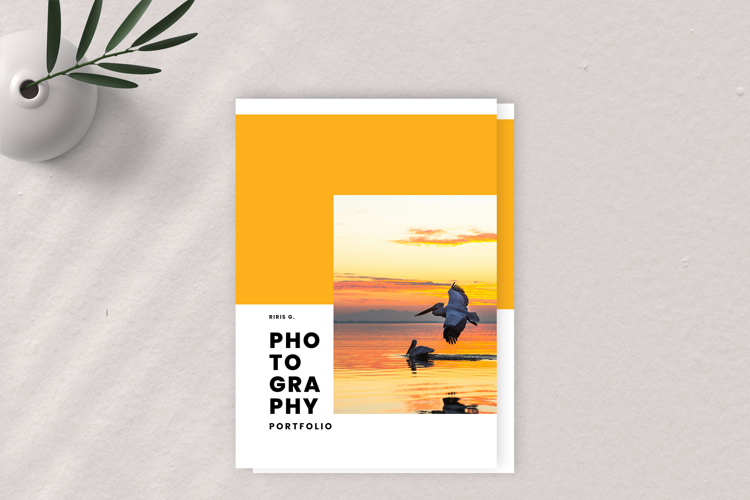 Phtography Portfolio