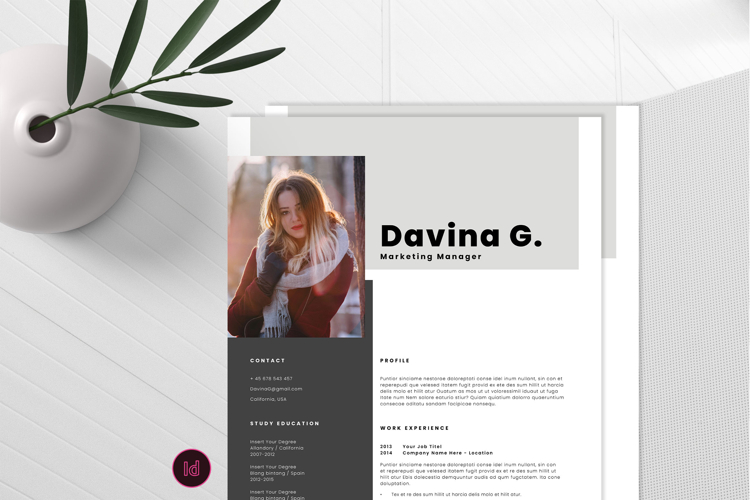 Professional CV Resume