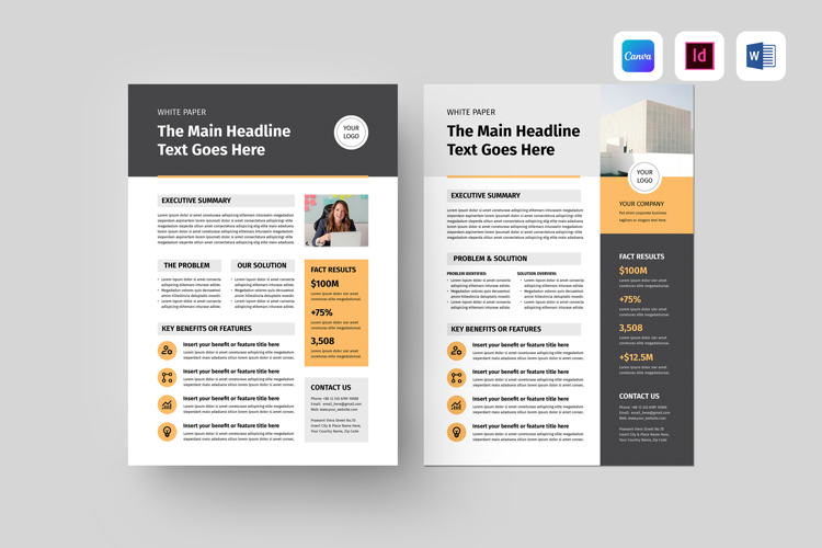 Business One Pager Template