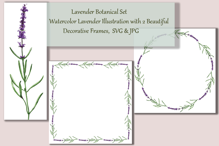 Botanical Lavender Set, SVG & JPG