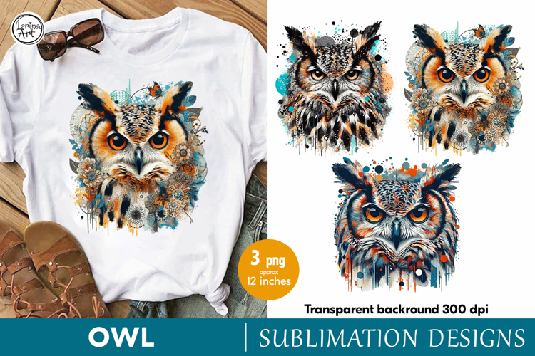 Owl Clipart Image 10