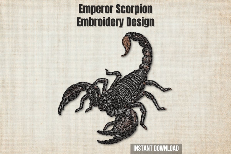 Emperor Scorpion