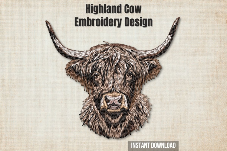 Highland Cow example image 1