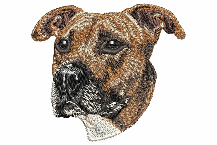 American Staffordshire Terrier Embroidery Design