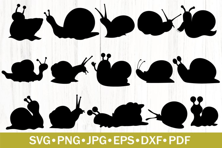 Snail Png Image 2