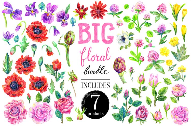 Wedding Illustration Image 21