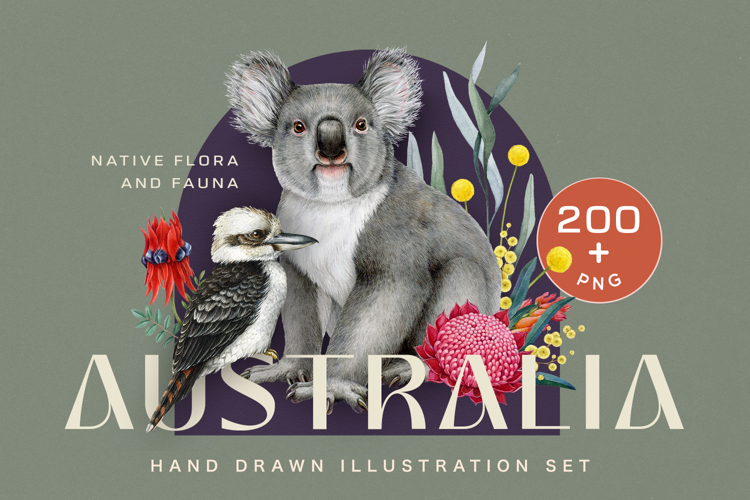 Australia Flora and Fauna Hand Drawn Illustration Set