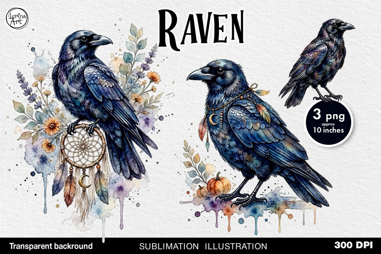 Raven Png Image 11