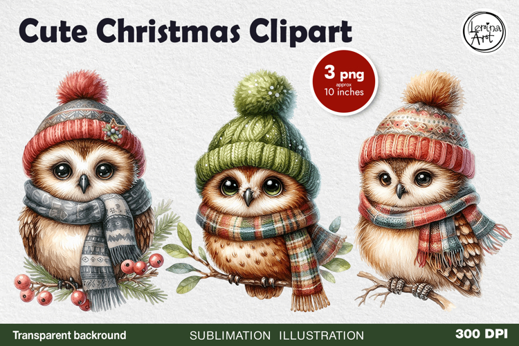 Owl Clipart Image 20