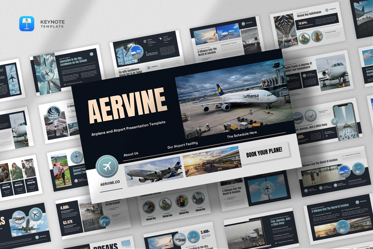 Pilot Resume Template Image 11