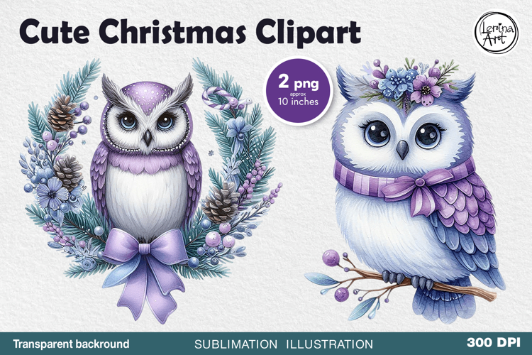 Owl Clipart Image 12