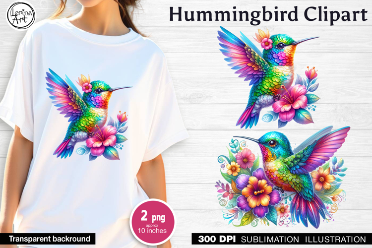 Rainbow Hummingbird sublimation print design PNG