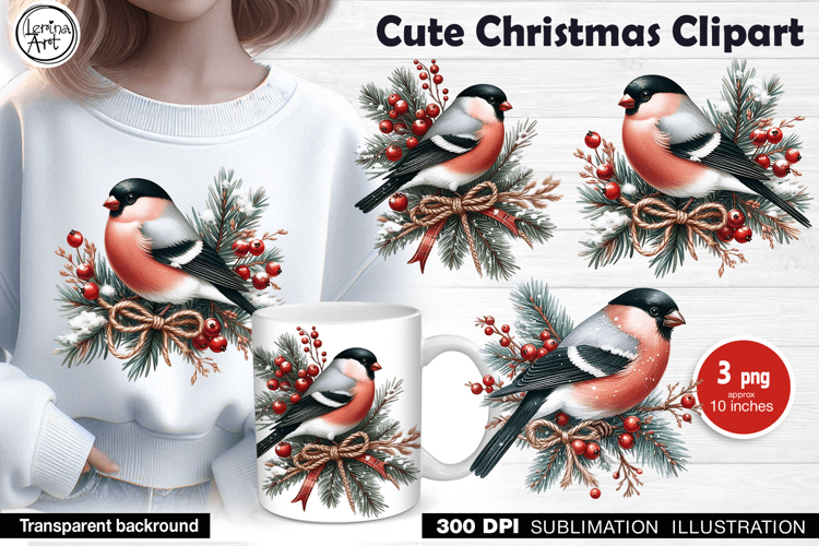 Winter Bird clipart / 3 PNG / sublimation design