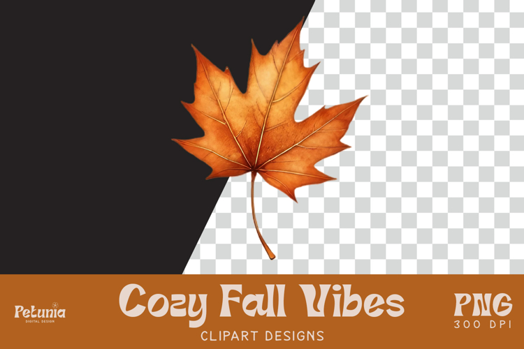 Fall Leaf Clipart | Watercolor Autumn PNG
