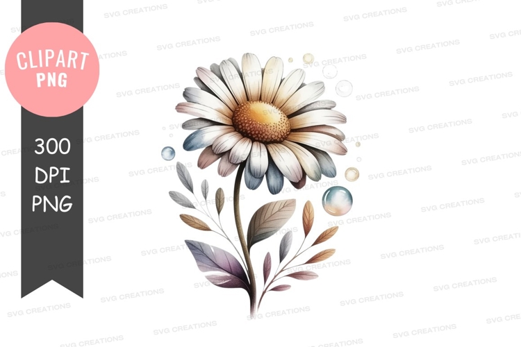 Daisy Illustration Image 6
