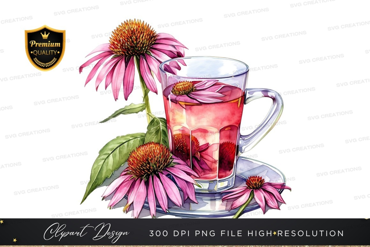 Echinacea tea