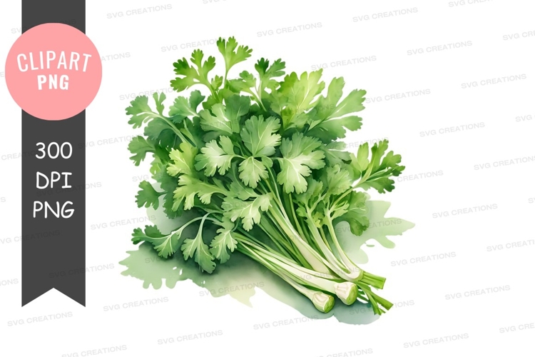 Tacos Clipart Image 23