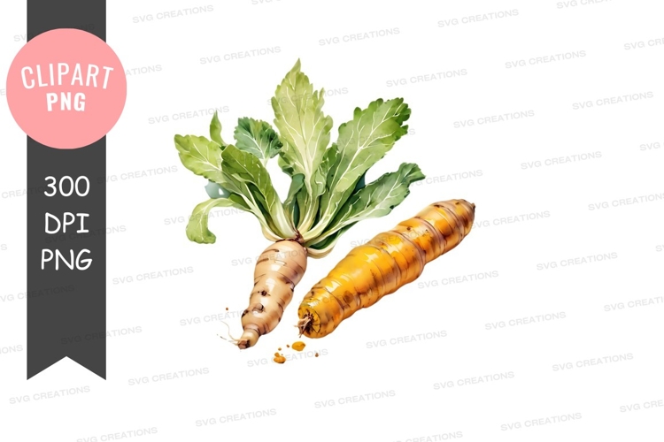 Vegetables PNG Image 12