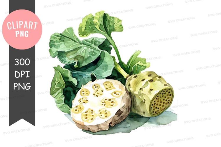 Fresh lotus root with green leaves