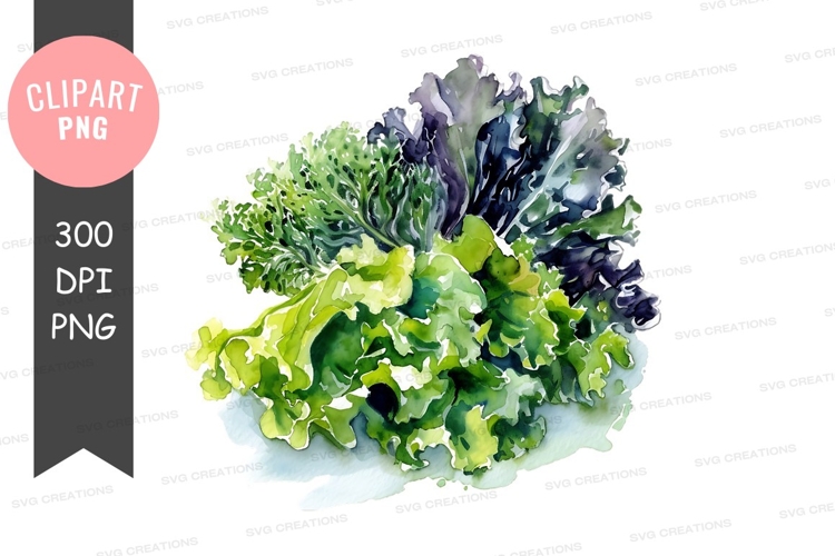 Vegetables PNG Image 11