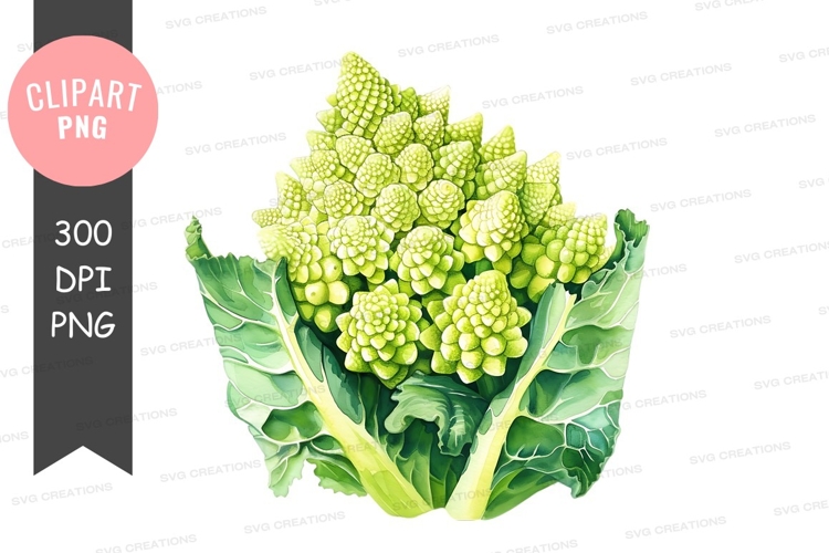 Vegetables PNG Image 9