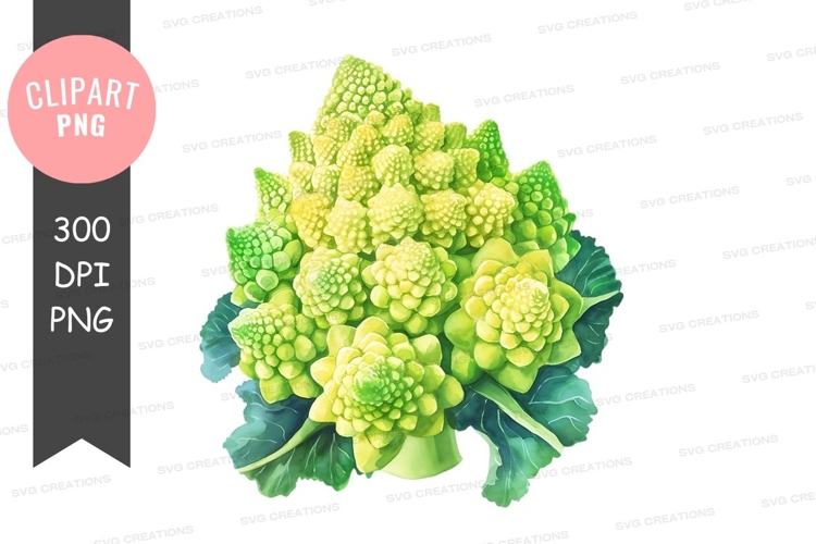 Food Illustration Image 17