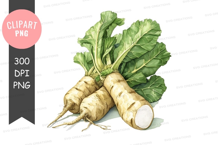 Vegetables PNG Image 6