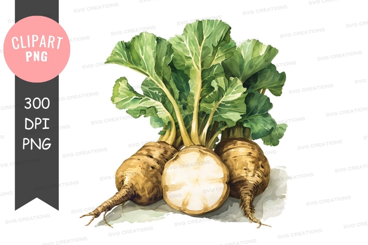 Freshly harvested vegetables clipart png