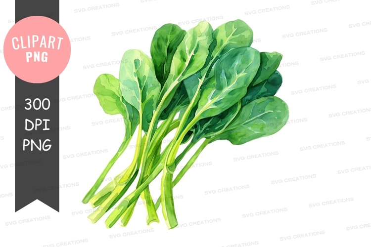 Vegetables PNG Image 5