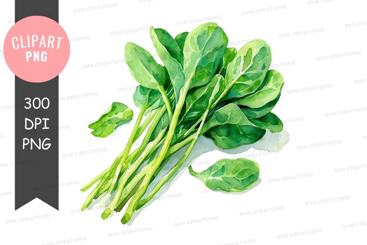 Vegetables PNG Image 3