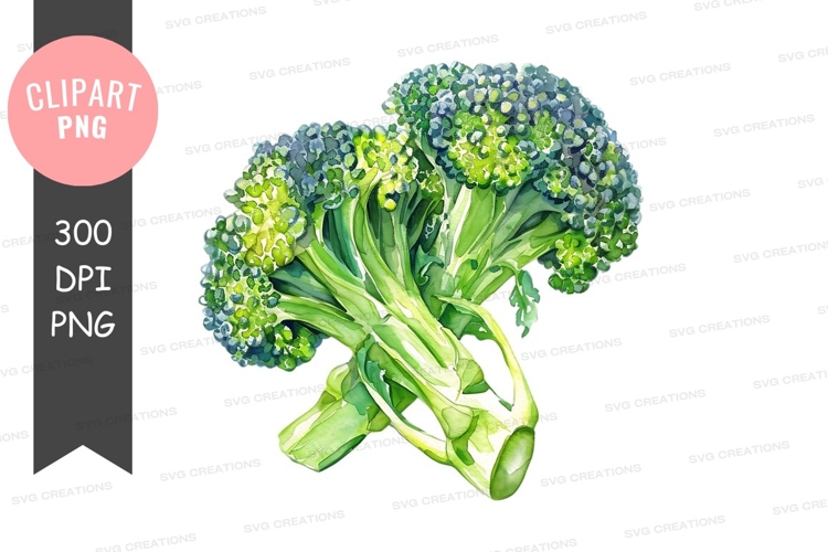 Broccoli Png Image 5