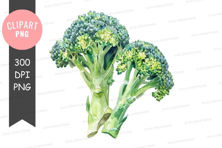Broccoli Png Image 4