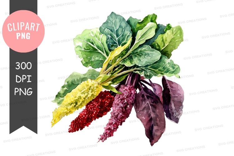 Vegetables PNG Image 8