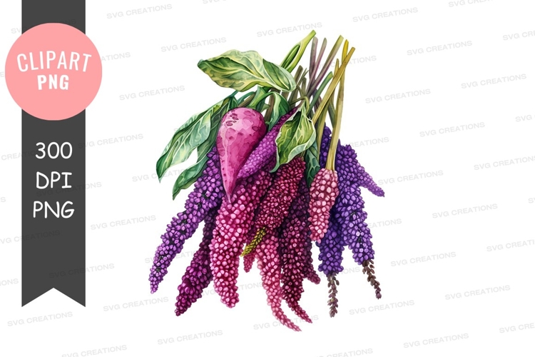 Vegetables PNG Image 7