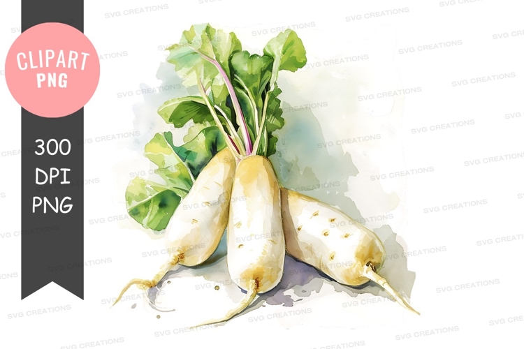 Vegetables PNG Image 24