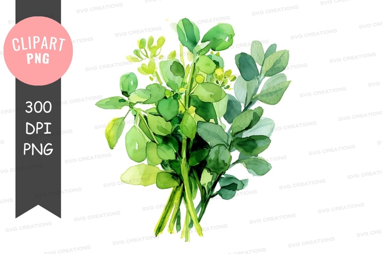 Eucalyptus Clipart Image 24