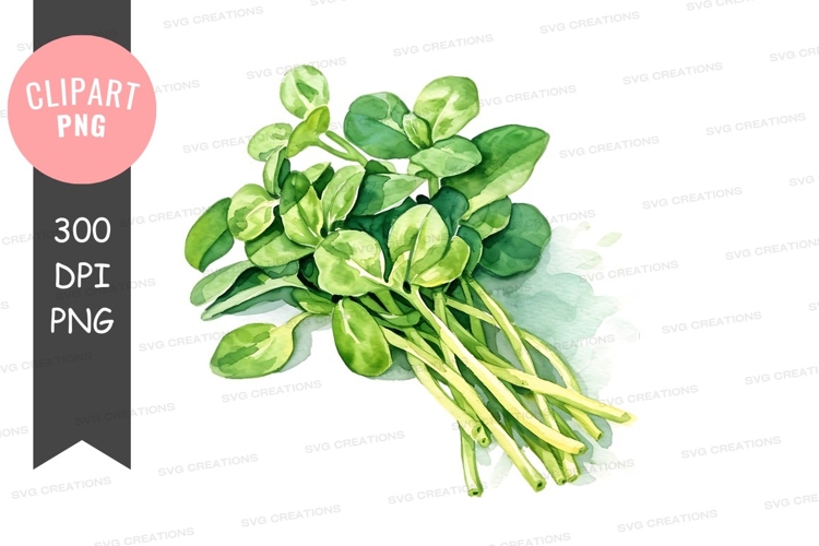 Vegetables PNG Image 22