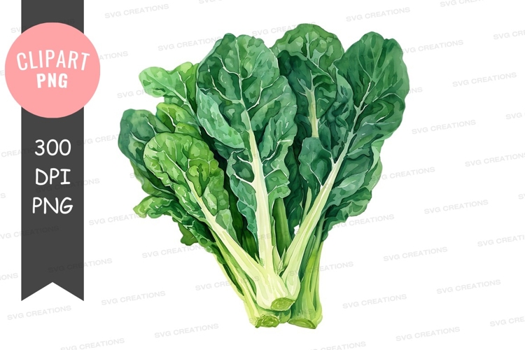 Vegetables PNG Image 23