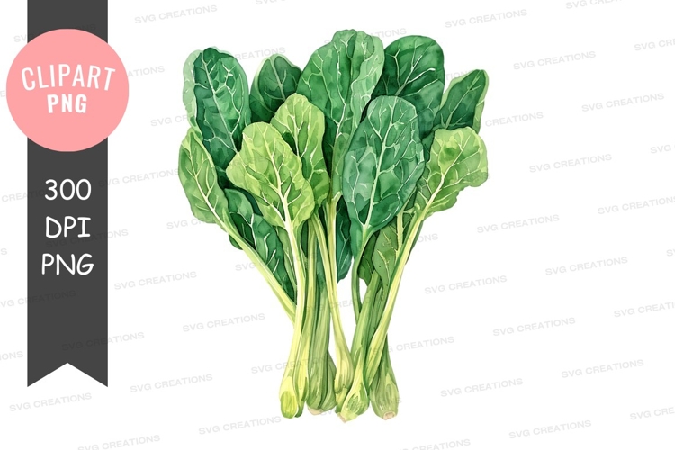 Vegetables PNG Image 22