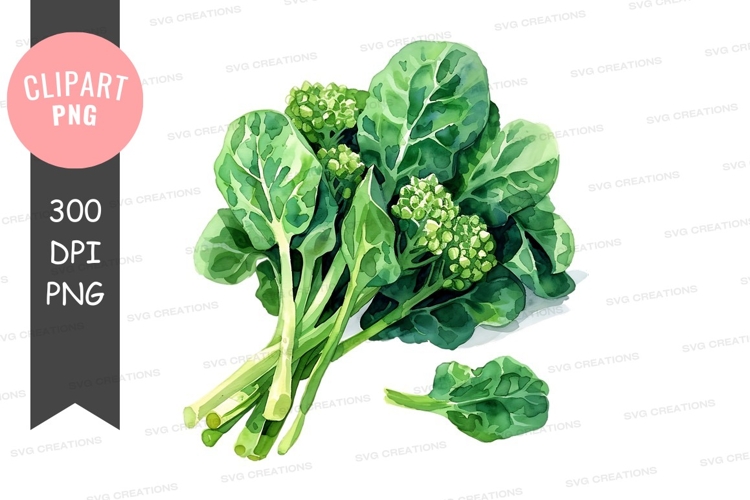 Vegetables PNG Image 21