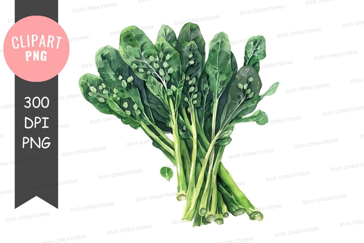 Vegetables PNG Image 20