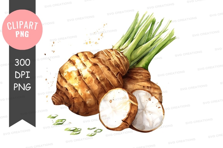 Broccoli Png Image 16