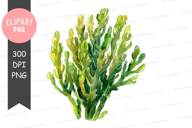Green seaweed clipart png