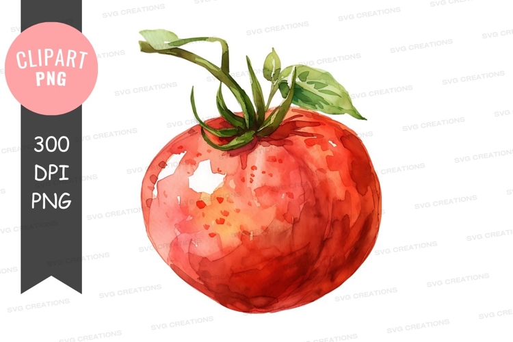 Tomato Png Image 3