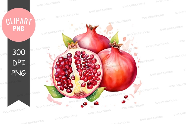 Pomegranate Png Image 7