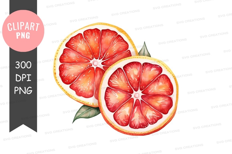 Citrus Clipart Image 15
